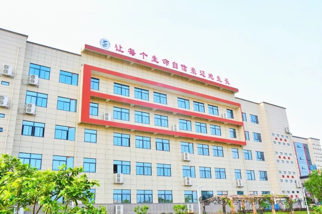 桃李芬芳 匠心育人——天易中学优秀教师风采（第二期）