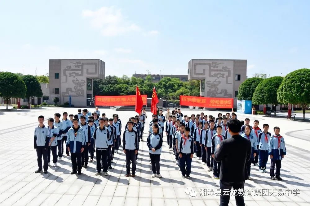 巧手摘蚕豆，劳动最快乐-----记天易中学劳动实践活动